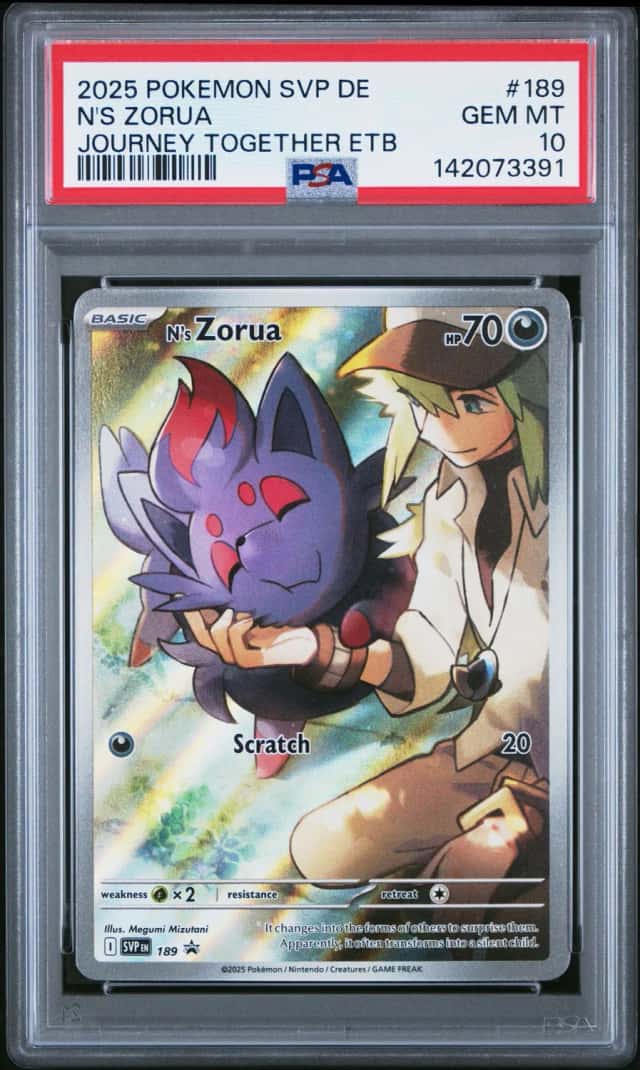N's Zorua