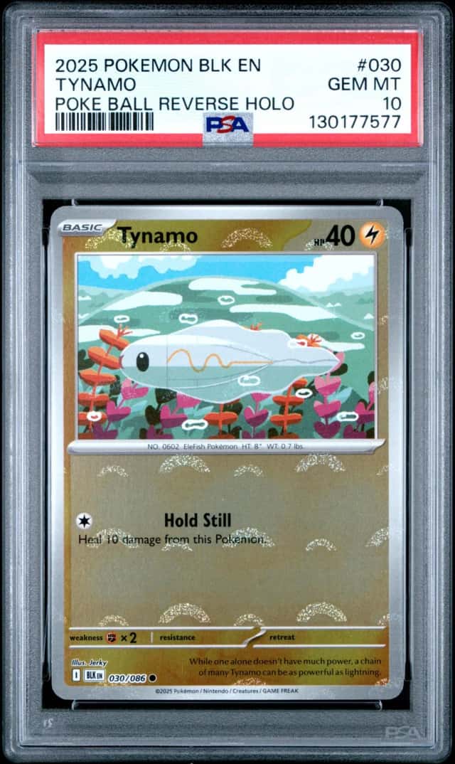 Tynamo