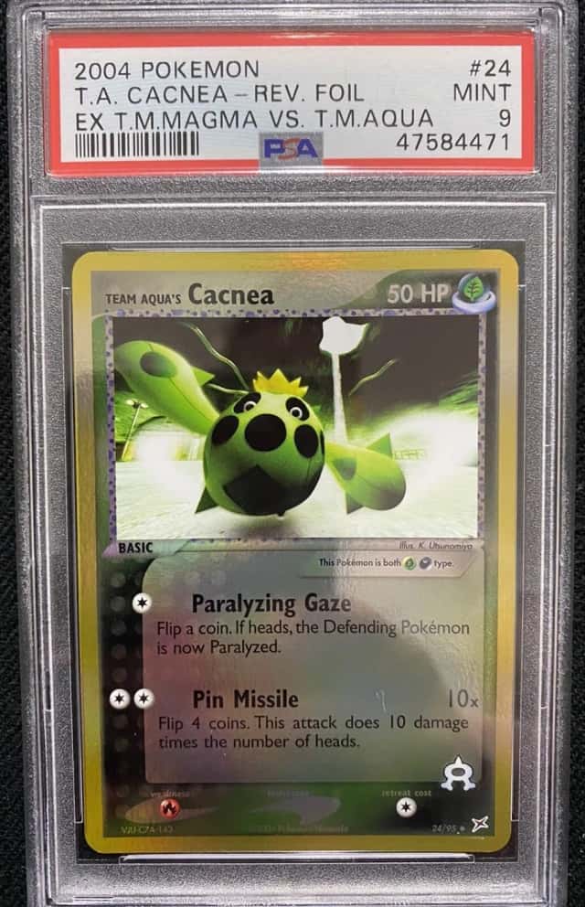Aqua's Cacnea