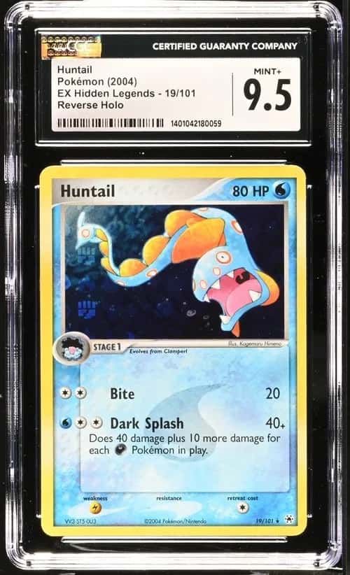 Huntail