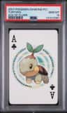 Turtwig