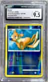Buizel