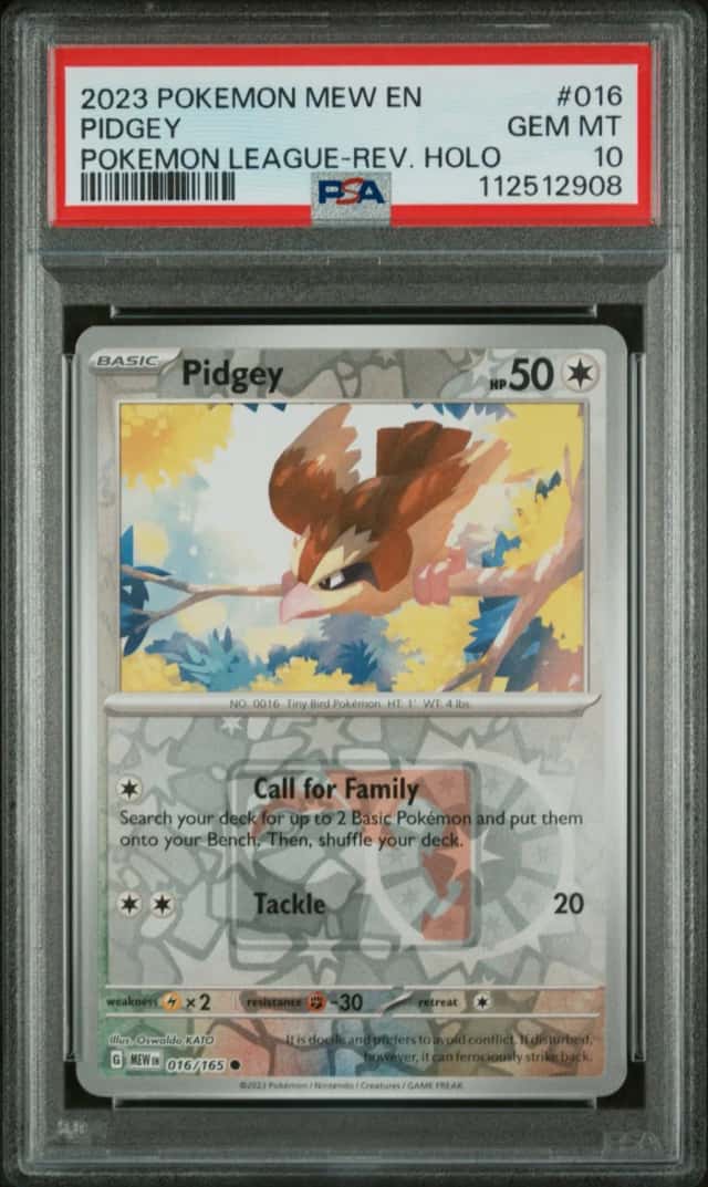 Pidgey