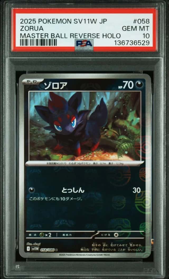 Zorua