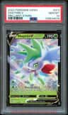 Shaymin V