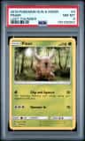 Pinsir