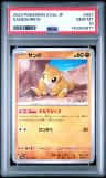 Sandshrew