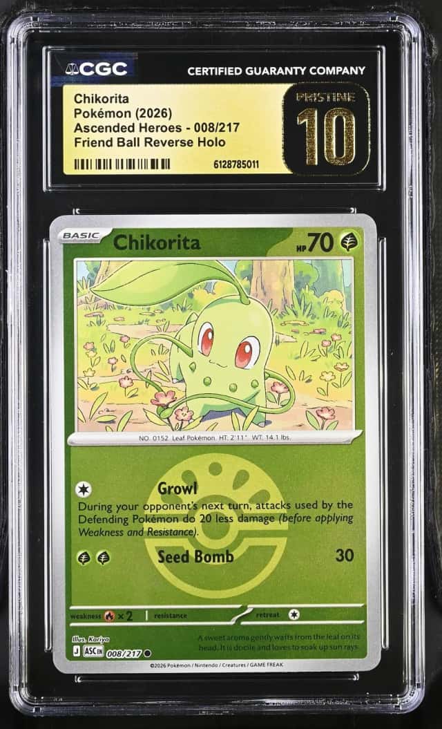 Chikorita