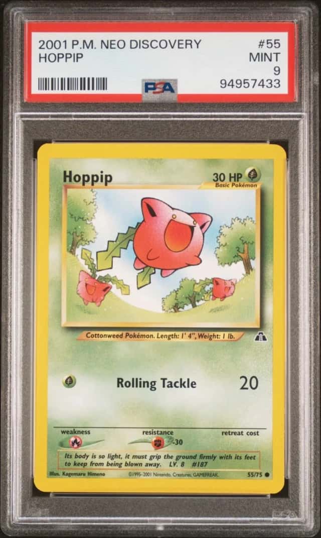 Hoppip