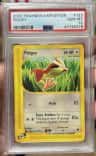 Pidgey