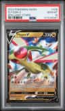 Flygon V