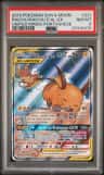 Raichu/raichu D.al.gx