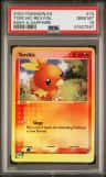 Torchic
