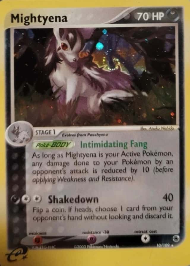 Holo