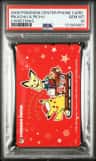 Pikachu & Pichu