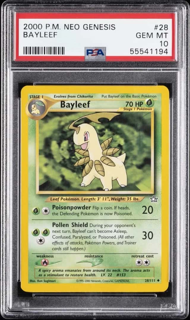 Bayleef