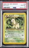 Bayleef