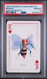 Beedrill