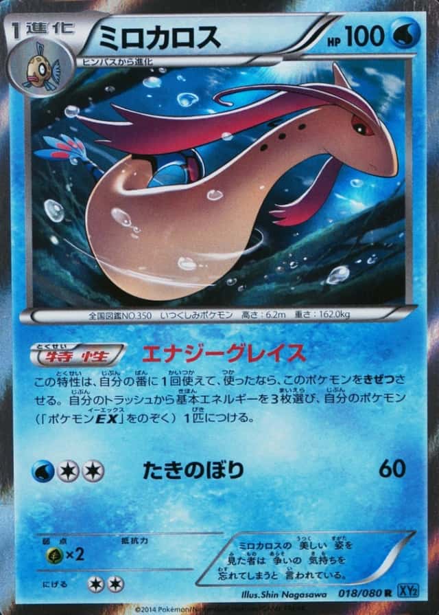 Base / no variant