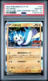 Pachirisu