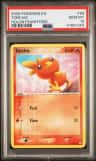 Torchic