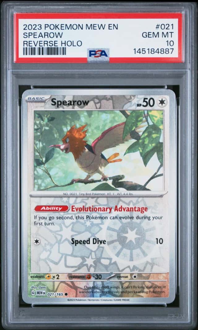 Spearow