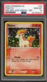 Ponyta