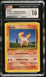 Ponyta