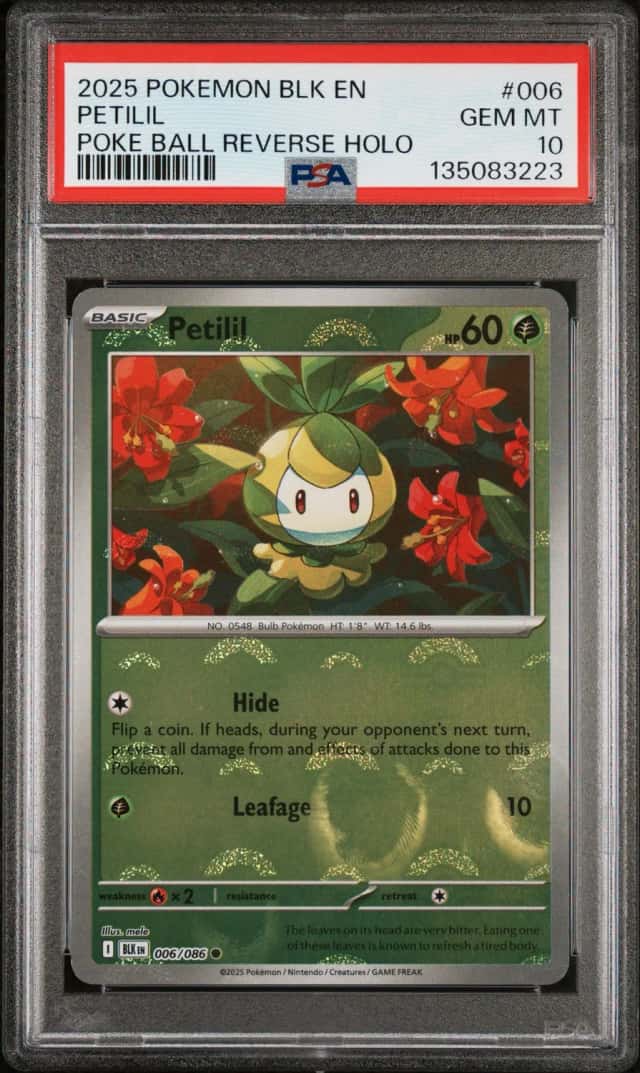 Petilil