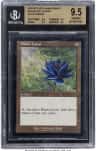 Black Lotus