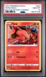 Tepig