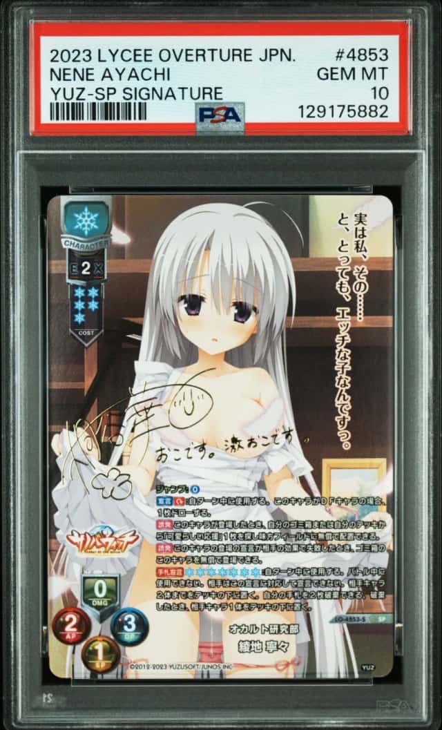 Nene Ayachi Yuz-Sp