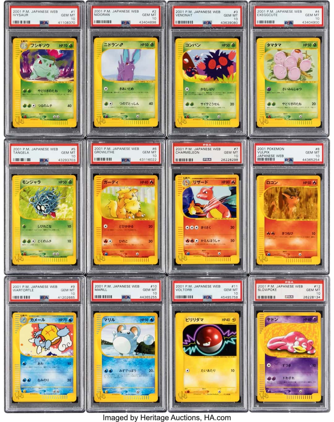 Pokémon Japanese Unlimited Web Complete Set of 48 PSA Trading
Card Game Gem Mint 10 (The Pokémon Company, 2001).