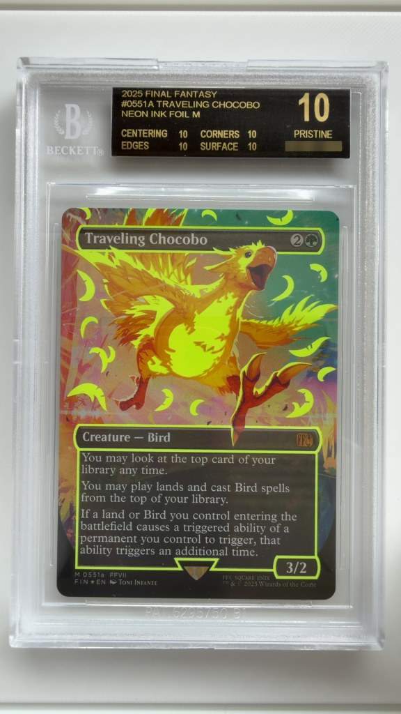 Traveling Chocobo