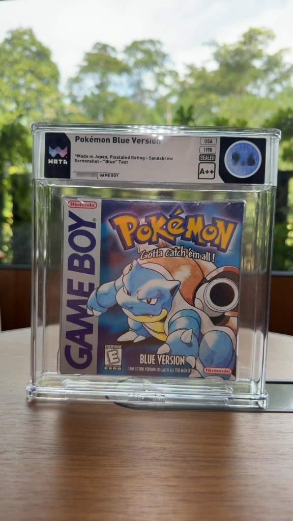 Pokémon Blue Version
