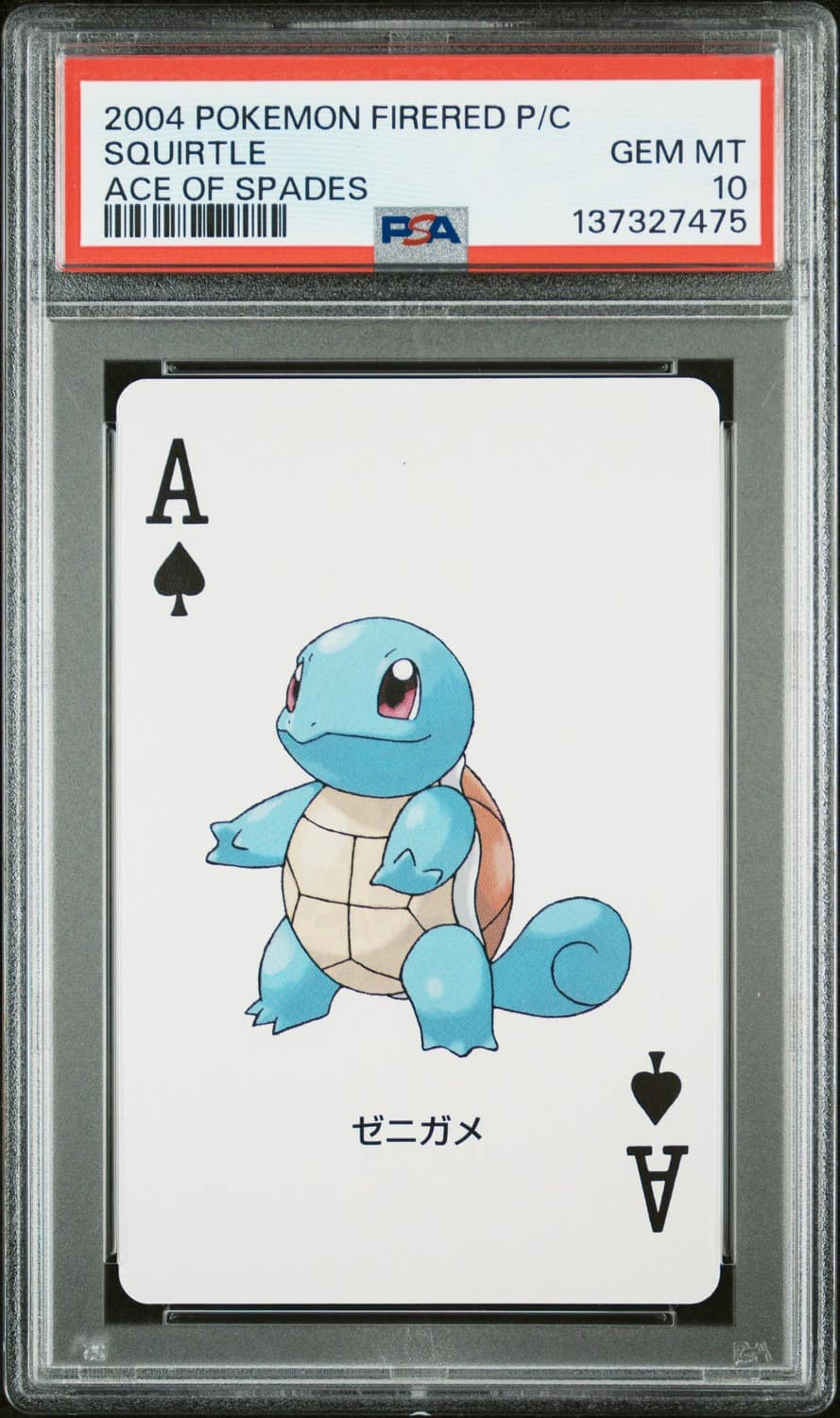 Squirtle