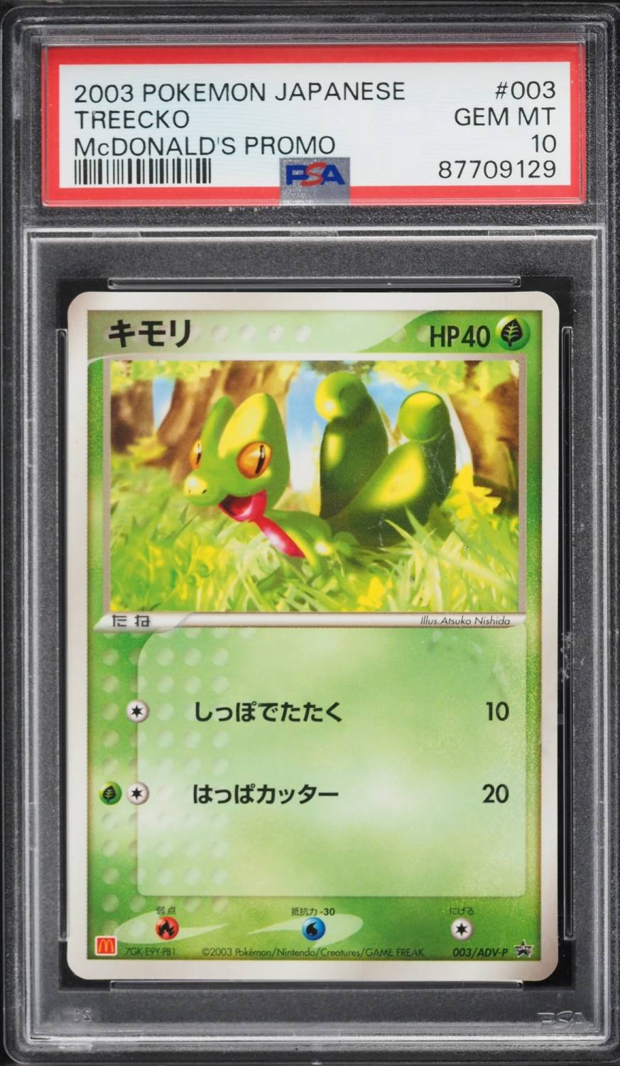 Treecko