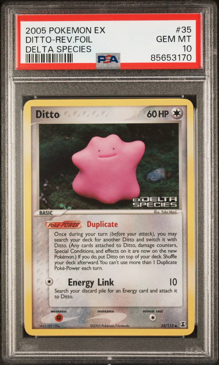 Ditto U