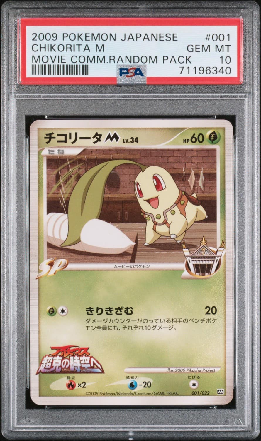 Chikorita M
