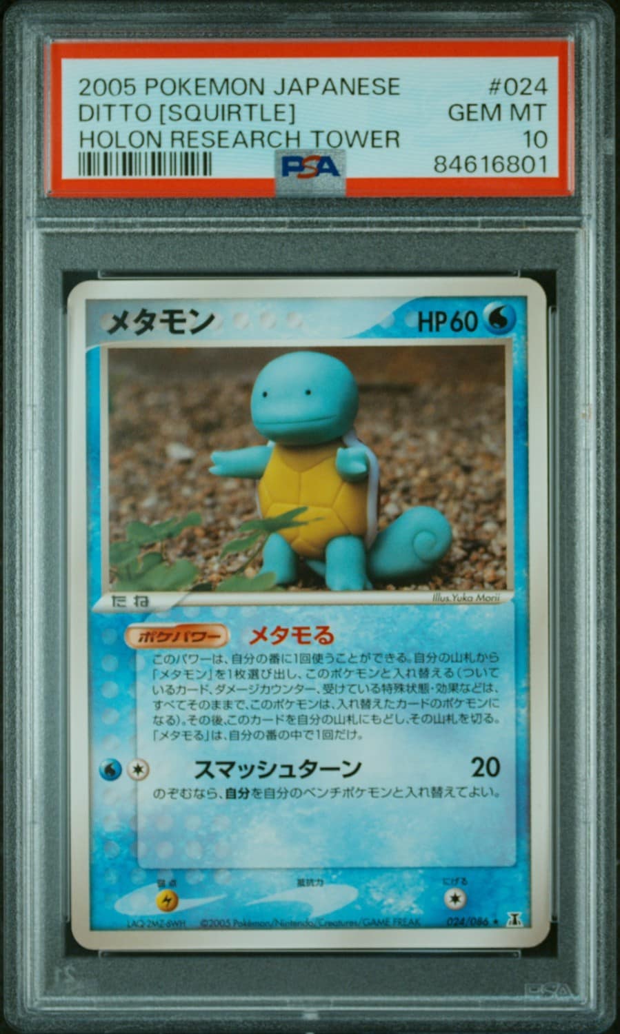 Ditto [squirtle]