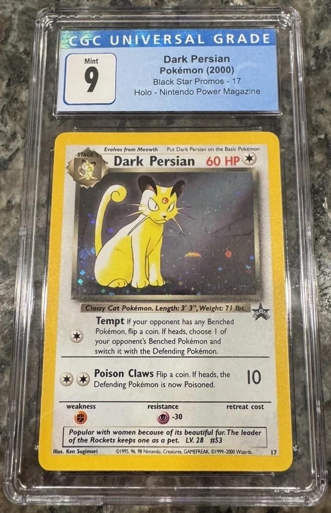Dark Persian