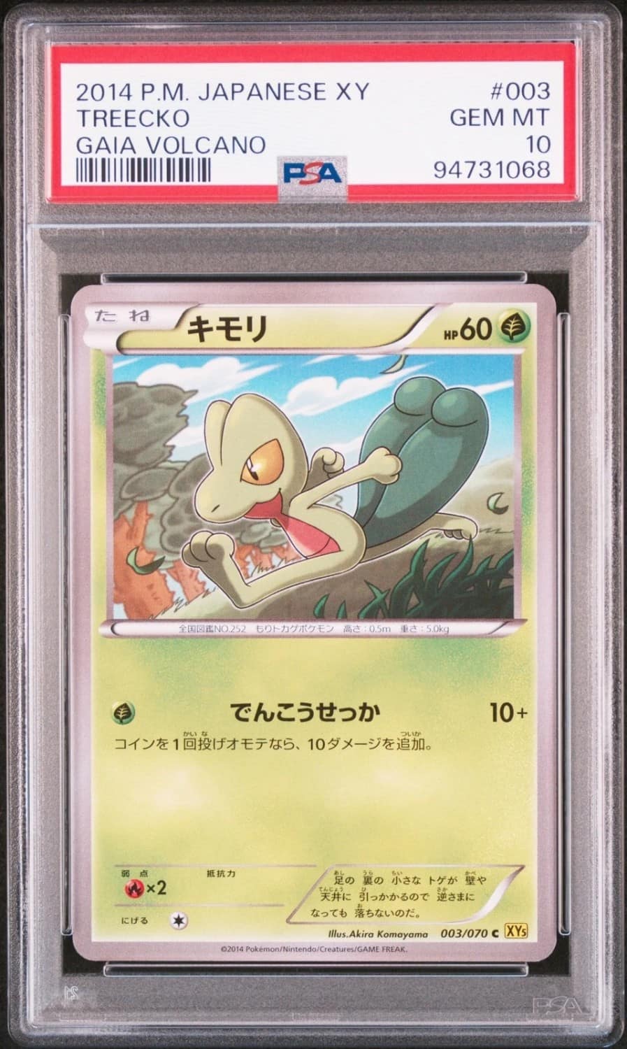 Treecko