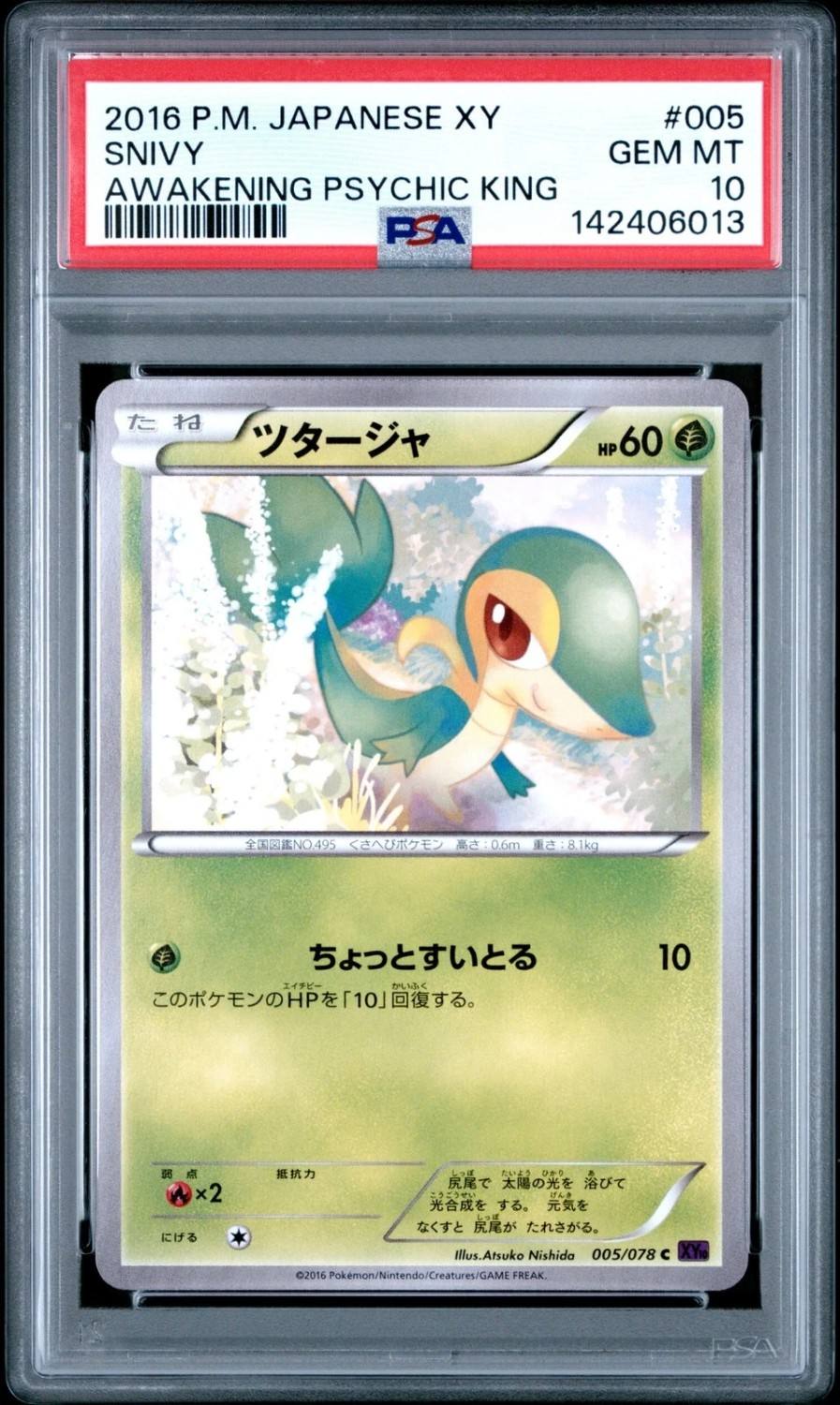 Snivy