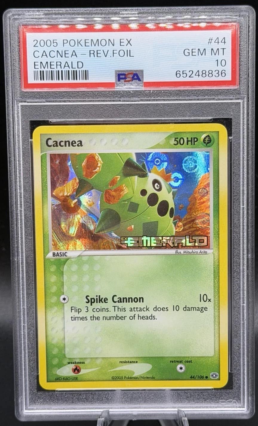 Cacnea