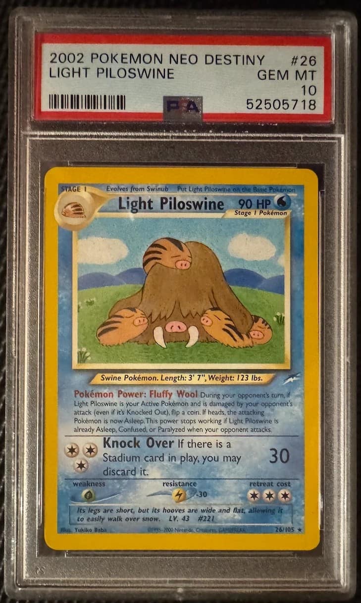 Light Piloswine