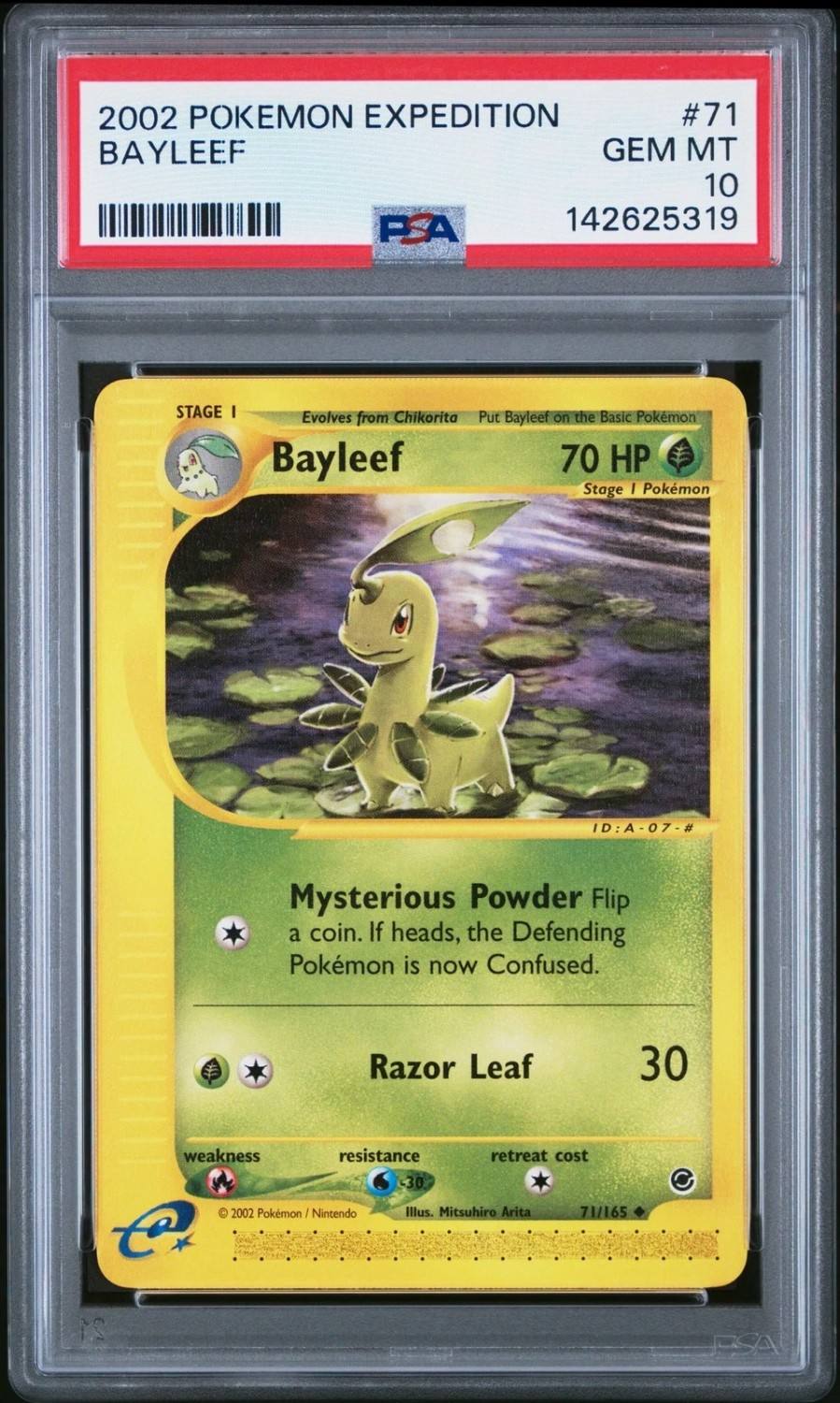 Bayleef