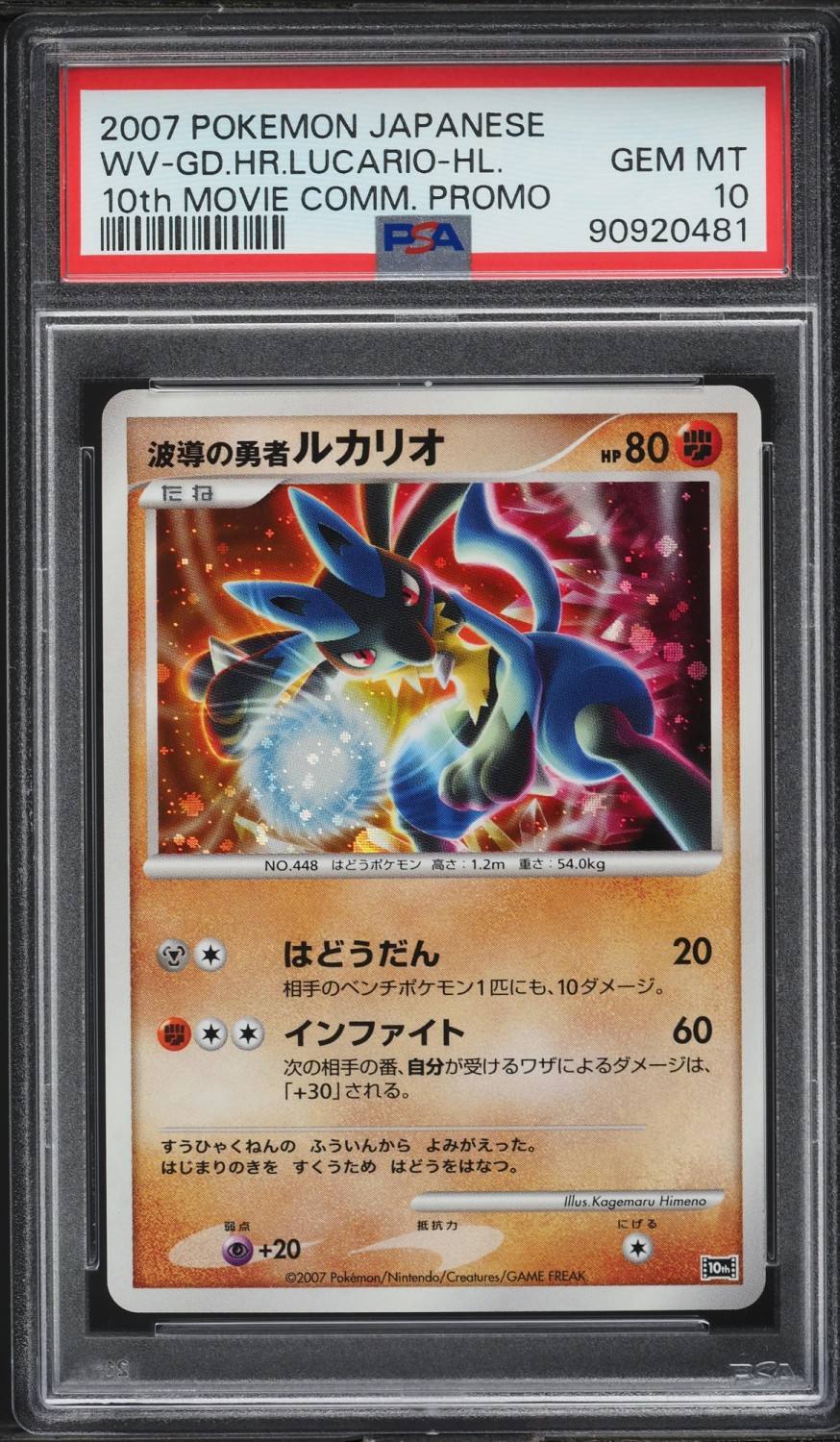 Wave-Guiding Hero Lucario