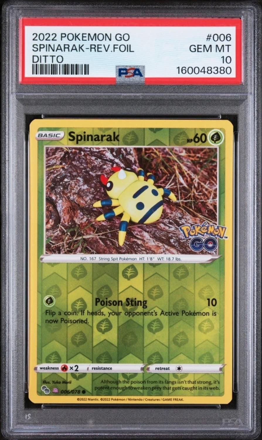 Spinarak