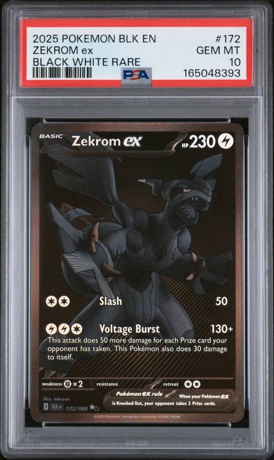 Zekrom Ex