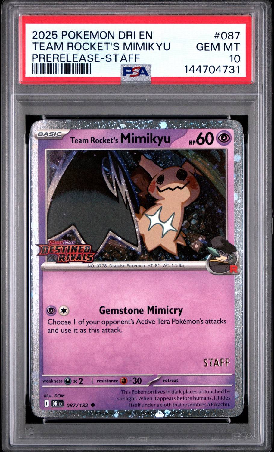 Team Rocket'S Mimikyu
